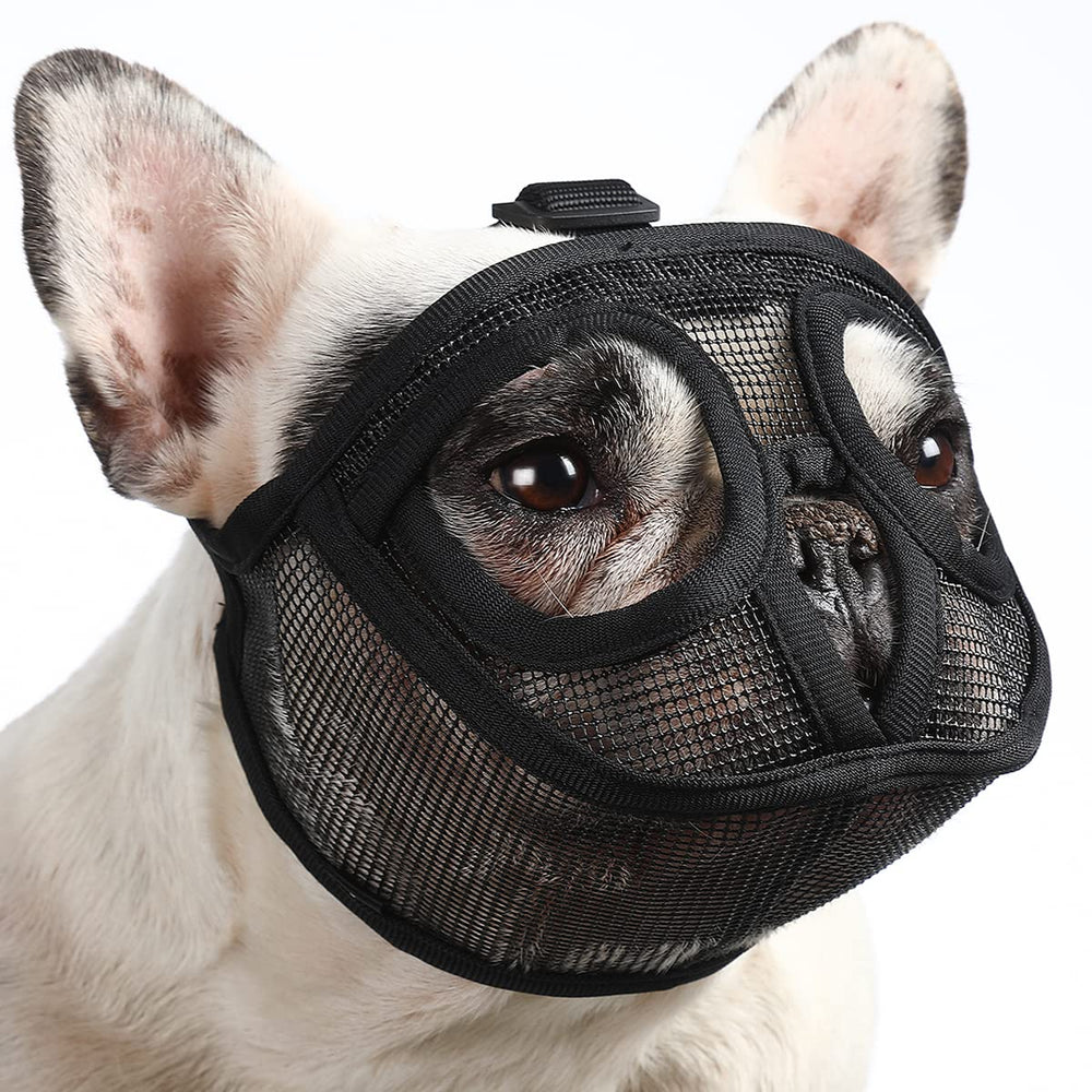 BARKLESS muselière face avant montrant maintien sûr et confort