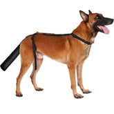 BARKLESS vue avant de la housse montrant protection complète et maintien