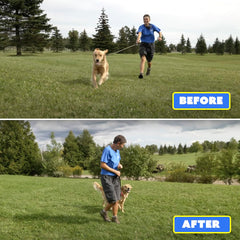 Barks No More dirigé vers un chien calme illustrant correction sans douleur