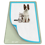 bartuke bac face avant montrant maintien du tapis et protection du sol
