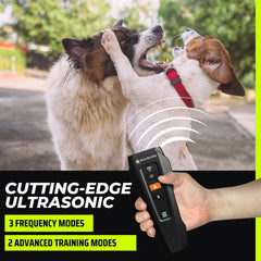 BarxBuddy flash stroboscopique actif pour attirer l'attention du chien
