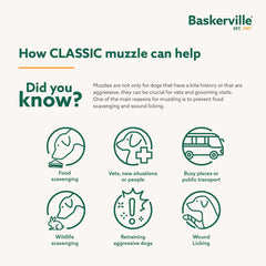 Baskerville insert anti-scavenging en place pour prévenir ingestion
