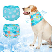 BEAUTYZOO packaging avant montrant lot de deux bandanas, pratique pour voyages