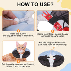 BEAUTYZOO comparaison taille illustrant ajustement pour chatons et adultes