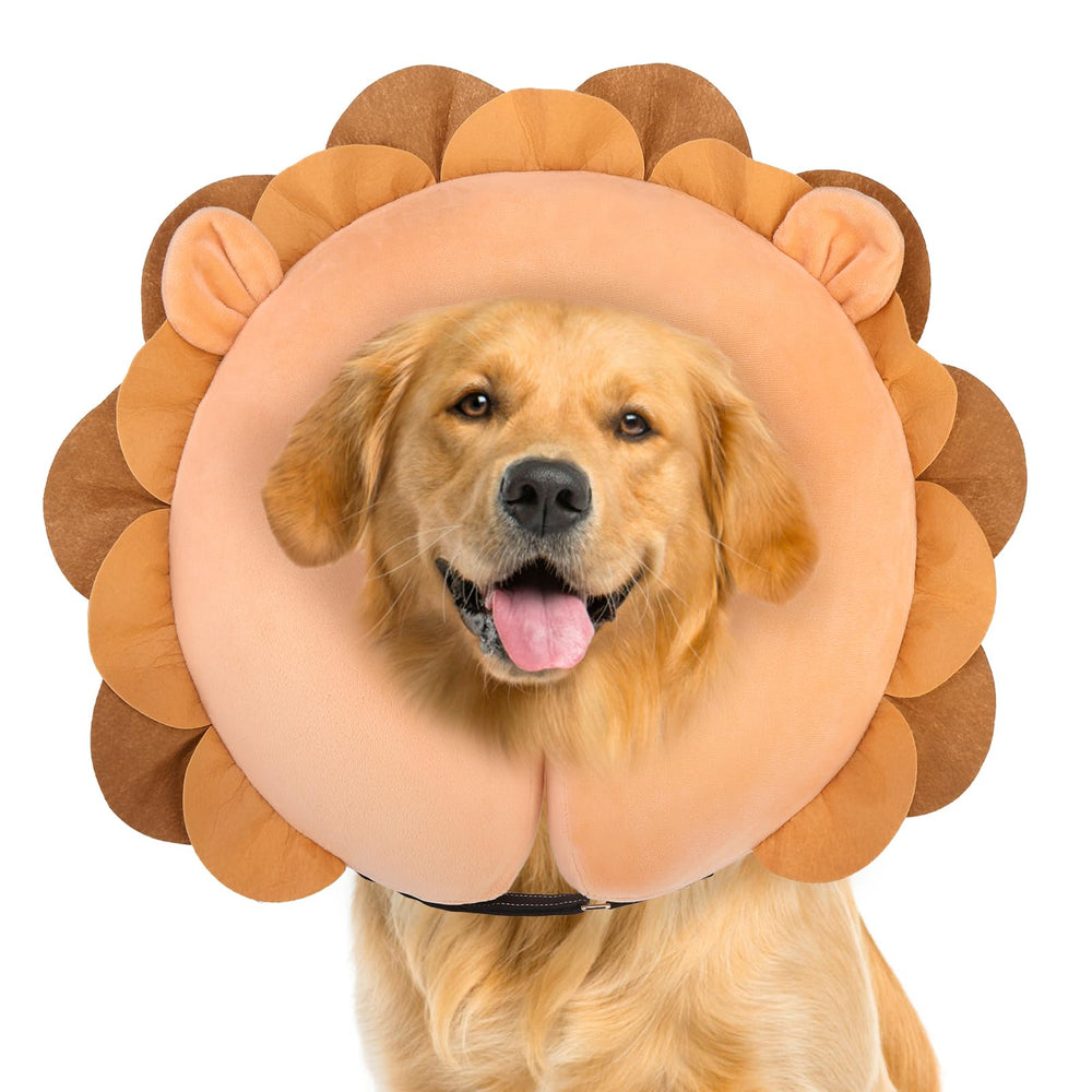 BEAUTYZOO collier donut vue avant confortable et protecteur
