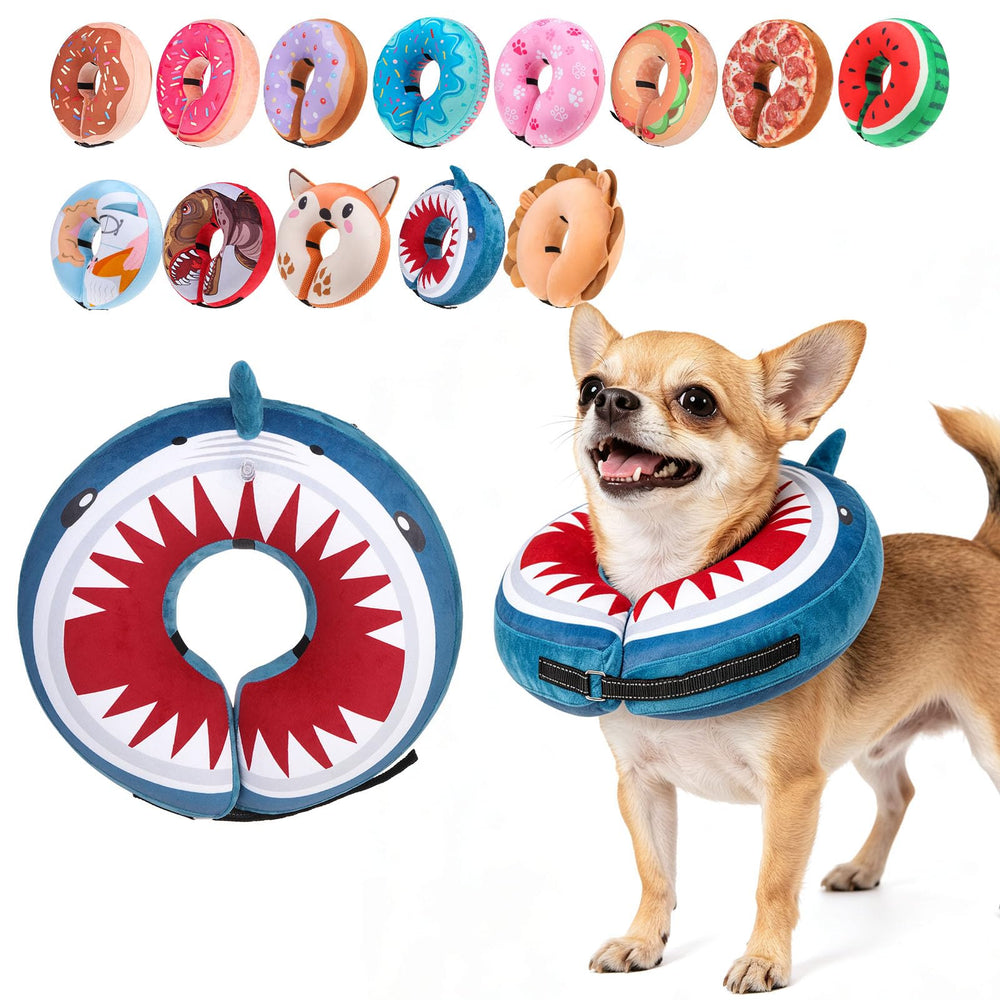 BEAUTYZOO collier donut face avant montrant un ajustement confortable