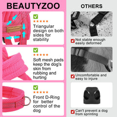 BEAUTYZOO détail de la laisse bungee et du mousqueton pivotant pour sécurité et souplesse