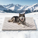 BECROWM tapis face supérieure respirante offrant fraîcheur immédiate