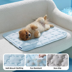 Bedsure ArcticMax chien couché dessus pour confort rafraîchissant à la maison