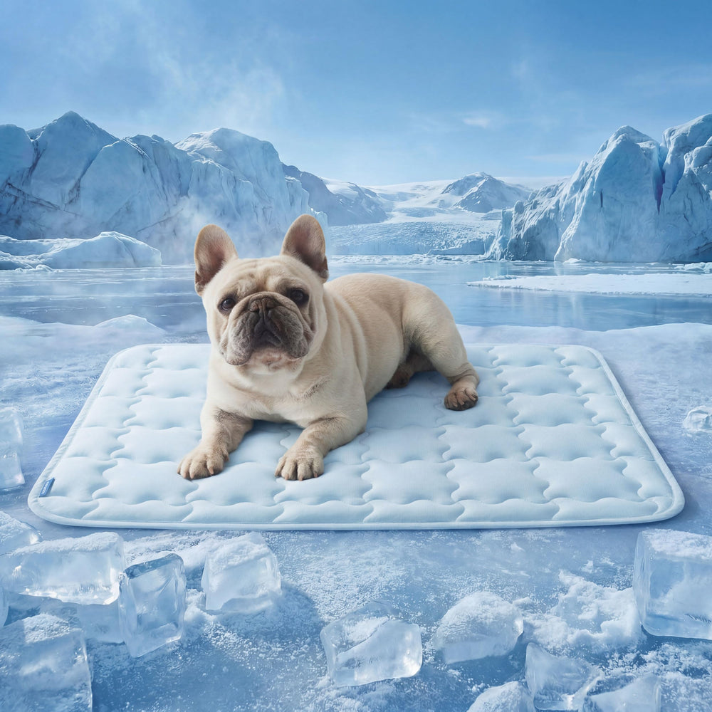Bedsure ArcticMax face avant montrant le design et bénéfice confort immédiat