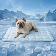 Bedsure ArcticMax face avant montrant le design et bénéfice confort immédiat