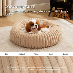 Bedsure chien allongé utilisant le lit pour repos sécurisé