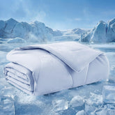 Bedsure couverture ArcticMax face avant montrant le design et confort