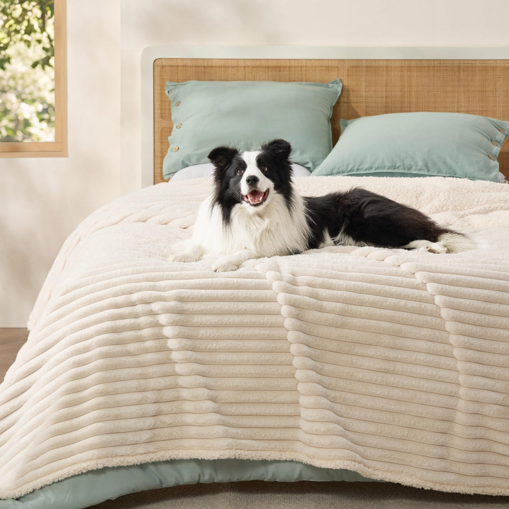 Bedsure couverture face avant crème protège lit et apporte confort