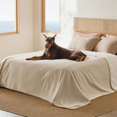 Bedsure couverture King montrée entière protégeant le lit et apportant chaleur