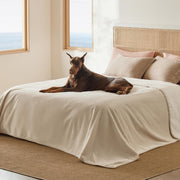 Bedsure couverture King montrée entière protégeant le lit et apportant chaleur
