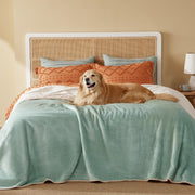Bedsure couverture face entière montrant protection et confort