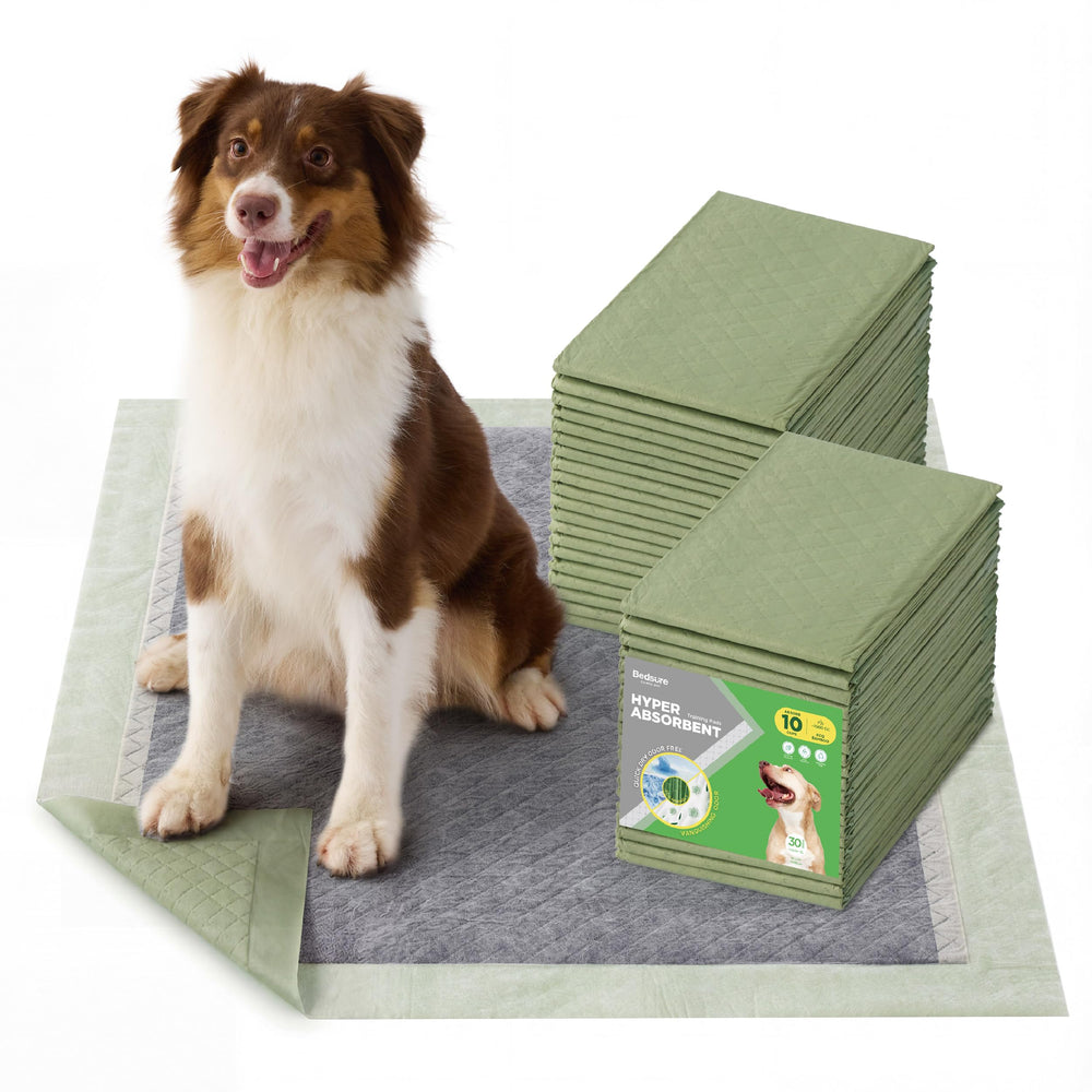 Bedsure emballage recto montrant 30 unités et taille extra large — protection pratique
