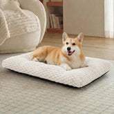 Bedsure face avant du lit chien 35 pour confort immédiat