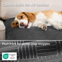 Bedsure housse en usage avec chien illustrant confort et protection