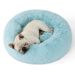 Bedsure lit chien face montrant confort moelleux et design apaisant