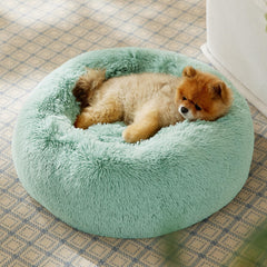 Bedsure petit chien blotti dans le lit pour repos sécurisé