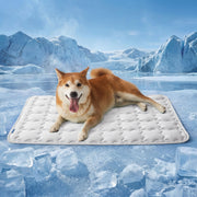 Bedsure tapis ArcticMax face avant montrant surface fraîche et confort