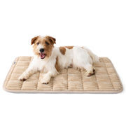 Bedsure tapis face avant élégant et confortable pour un salon harmonieux