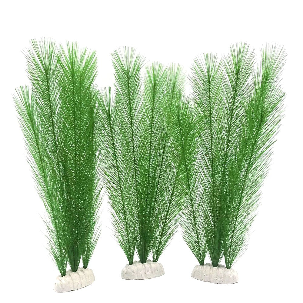 BEGONDIS plante face verte vive pour décoration, embelli l'aquarium