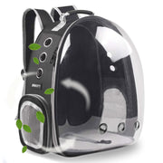 BEIKOTT coque transparente frontale montrant visibilité et protection