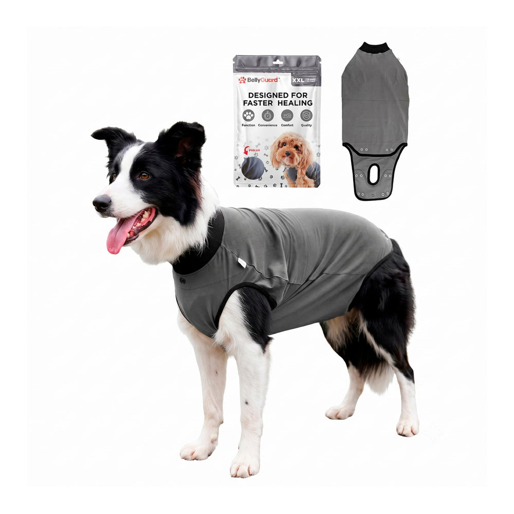 BellyGuard vue avant du produit montrant protection confortable