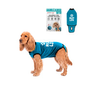 BellyGuard vue de face sur chien montrant protection abdominale et confort