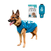 BellyGuard vue avant du packaging montrant protection post-opératoire confortable