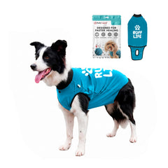 BellyGuard vue avant sur un chien, protection confortable immédiate