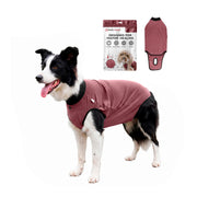BellyGuard vue avant sur un chien montrant protection et confort