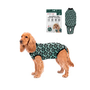 BellyGuard emballage produit montrant la combinaison et ses avantages