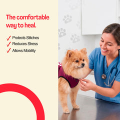 Détail fermetures arrière BellyGuard pour maintien sécurisé