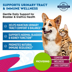 Beloved Pets flacon avec compte‑gouttes pour un dosage précis