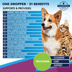 Beloved Pets gouttes sur cuillère pour administration précise et rapide
