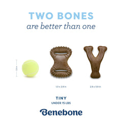 Benebone comparaison taille posée à côté d’une patte pour référence