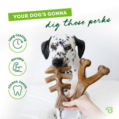 Benebone Wishbone gros plan sur surface et arôme bacon offrant attraction prolongée au chien