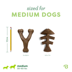 Benebone en prise par un chien montrant ergonomie et occupation longue