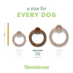 Benebone chien mâchant pour enrichissement et réduction d'ennui