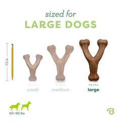 Benebone chien en train de mâcher pour réduction de l’ennui et focus
