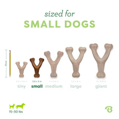 Benebone Wishbone comparaison taille dans une main pour évaluer dimensions
