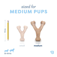Benebone Wishbone comparaison de taille pour choisir Medium adapté