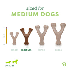 Benebone comparaison taille montrant convenance pour chien moyen