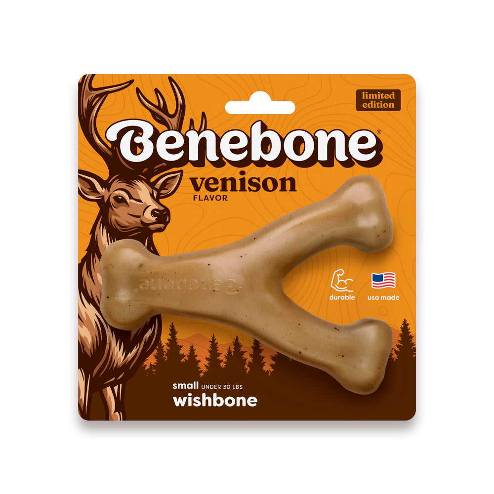 Benebone Wishbone vue frontale montrant la forme en Y et prise facile pour chien