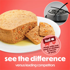 Beneful Purina vue rapprochée de la texture loaf pour appétence accrue