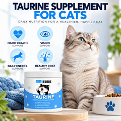 BERSEG poudre de taurine gros plan texture fine pour mélange facile